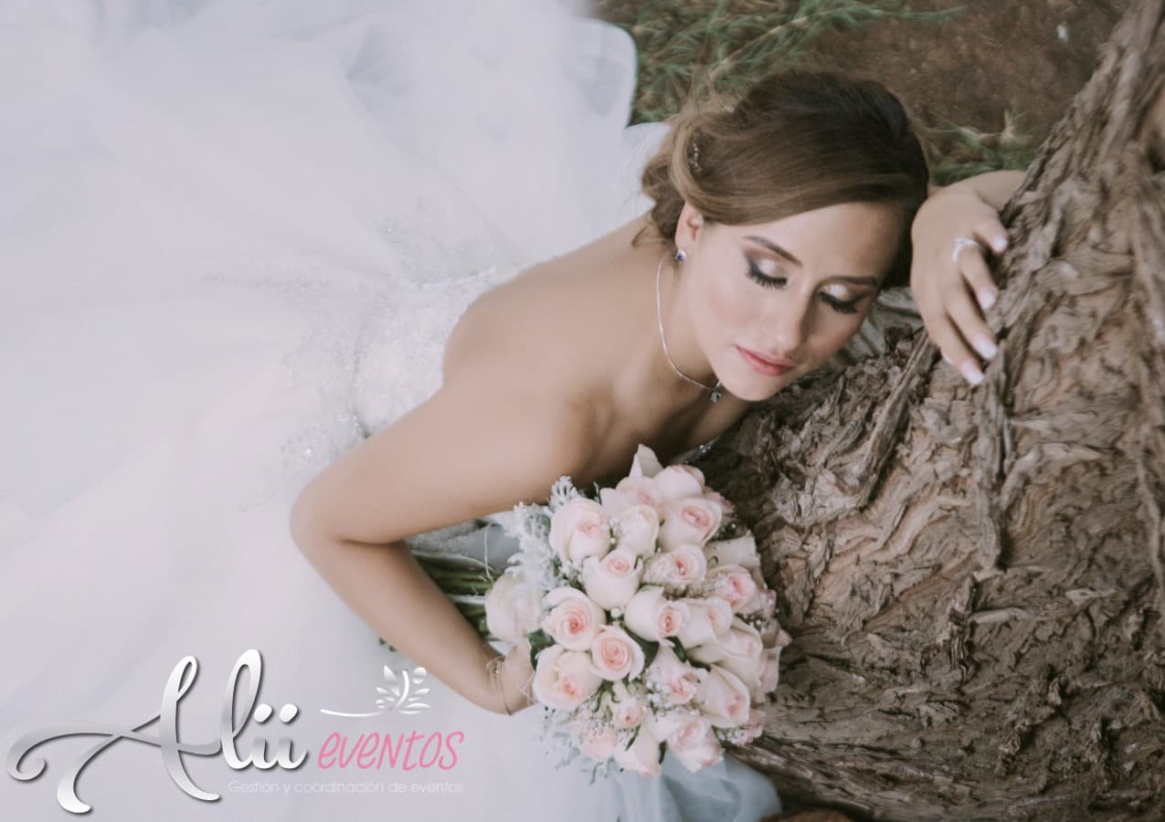 Alii Eventos México